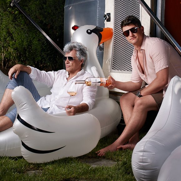 Bon Jovi Hampton Water Rose Wine Bottle - Picture 12 of 13